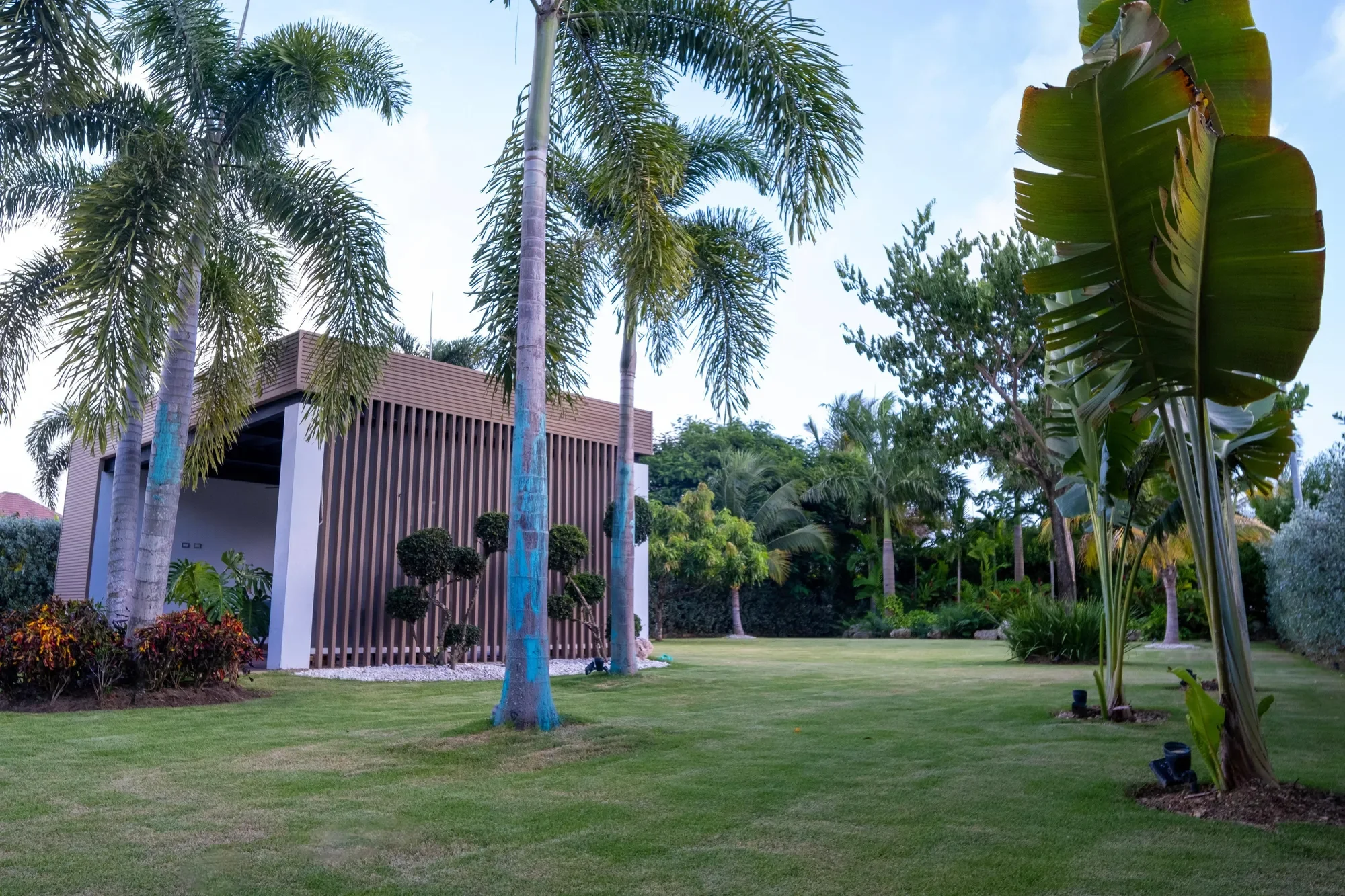 Unnamed Road, Punta Cana 23000, Dominican Republic, Juanillo, La Altagracia Province, Dominican Republic. - Photo 26