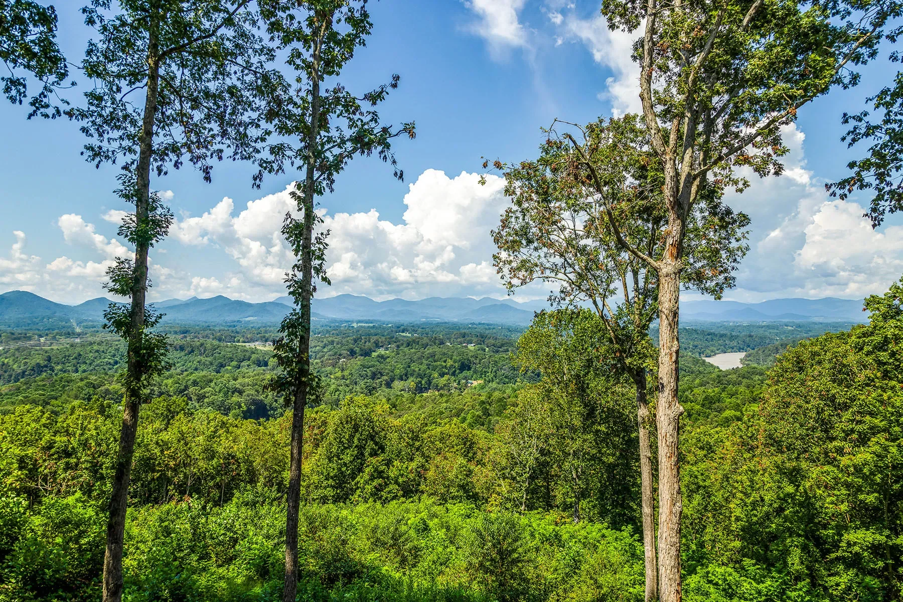 82 Running Ridge Road, Asheville, NC 28804, Asheville, North Carolina, United States. - Photo 22