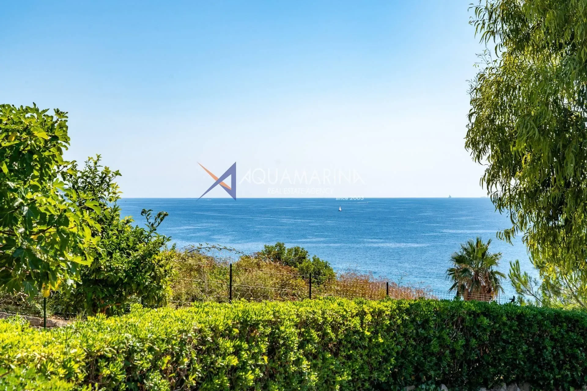 Sanremo, Liguria, Italy. - Photo 26