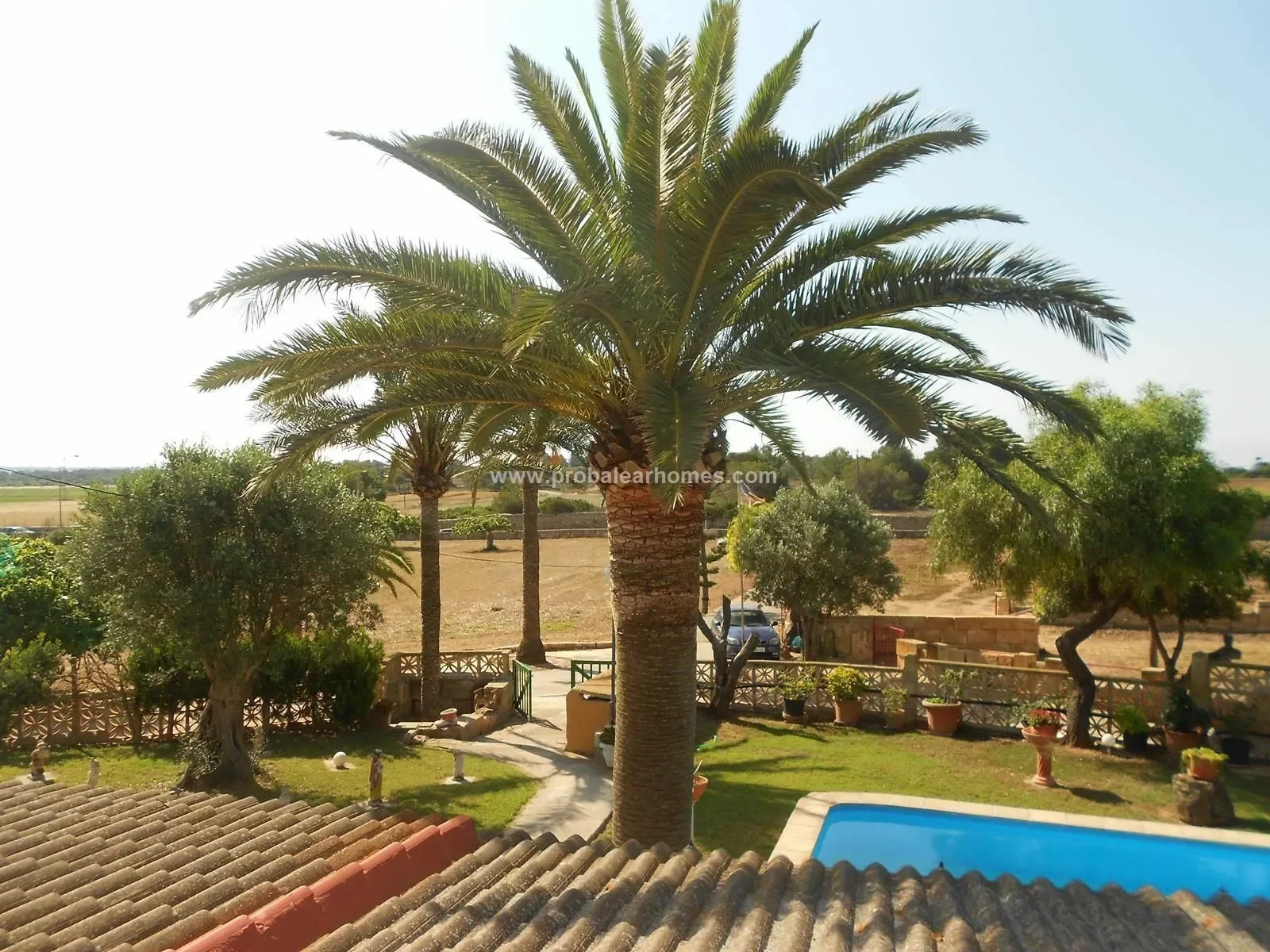 SES COVETES, CAMPOS, Baleares, CAMPOS, ses Salines, Balearic Islands, Spain. - Photo 13