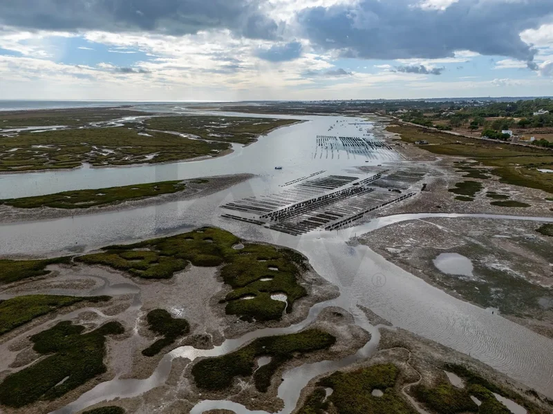 Tavira Land