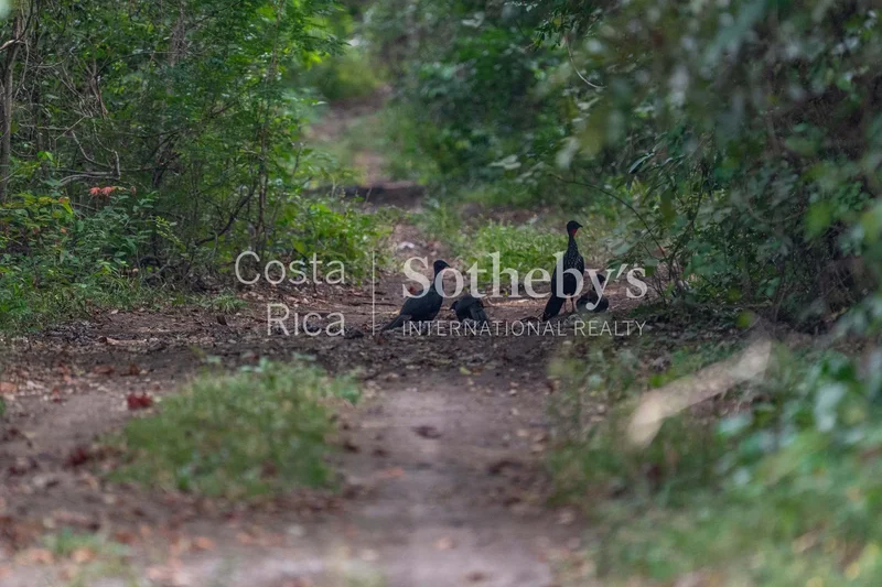 Finca Infinita