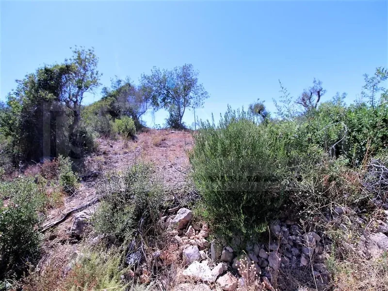 Algoz e Tunes, Algarve, Portugal. - Photo 8