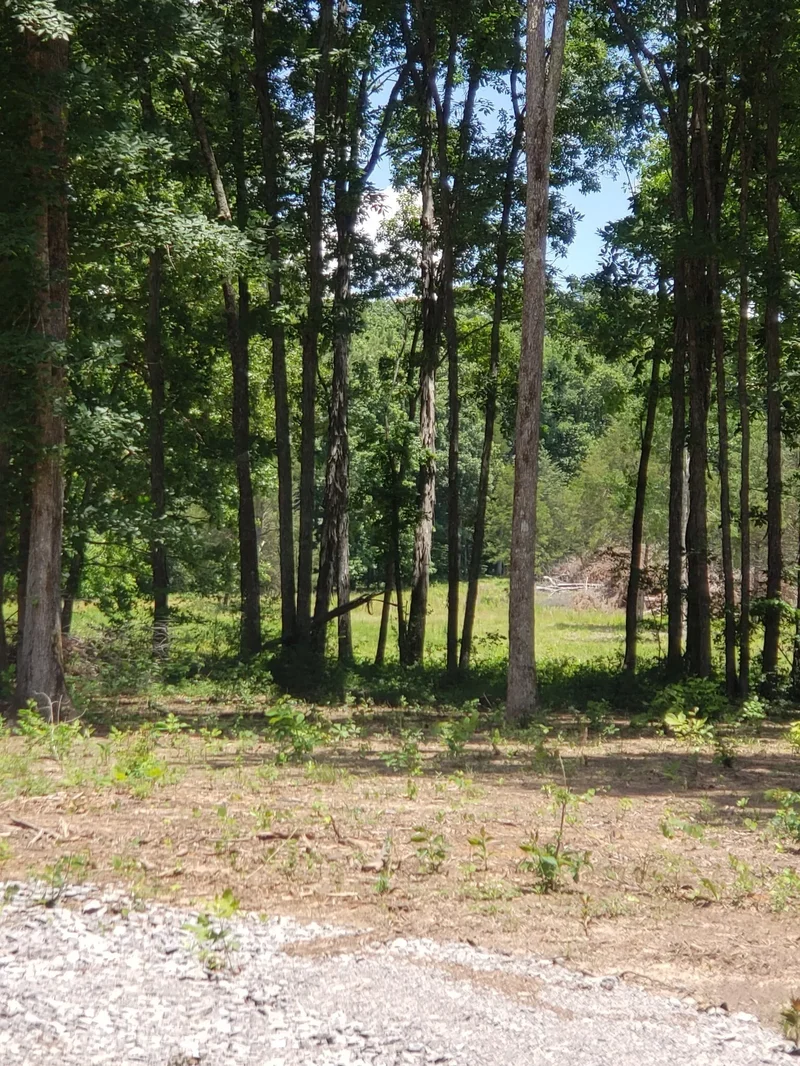 4821 Kedron Rd, Spring Hill, Tennessee, United States. - Photo 68