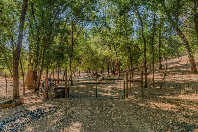 2988 Spring Hill Drive, San Andreas, CA 95249, San Andreas, California, United States. - Photo 53