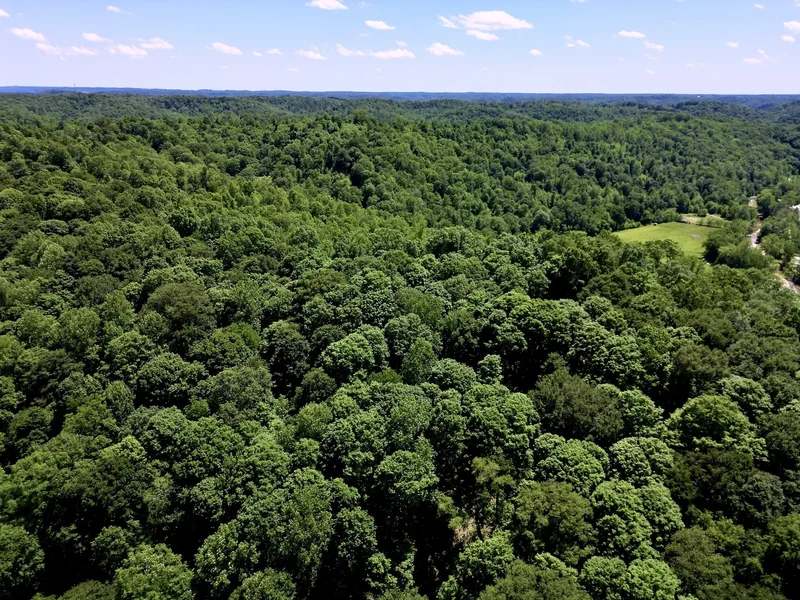 0 Big Marrrowbone Rd, Ashland City, TN 37015, Pegram, Tennessee, United States. - Photo 8