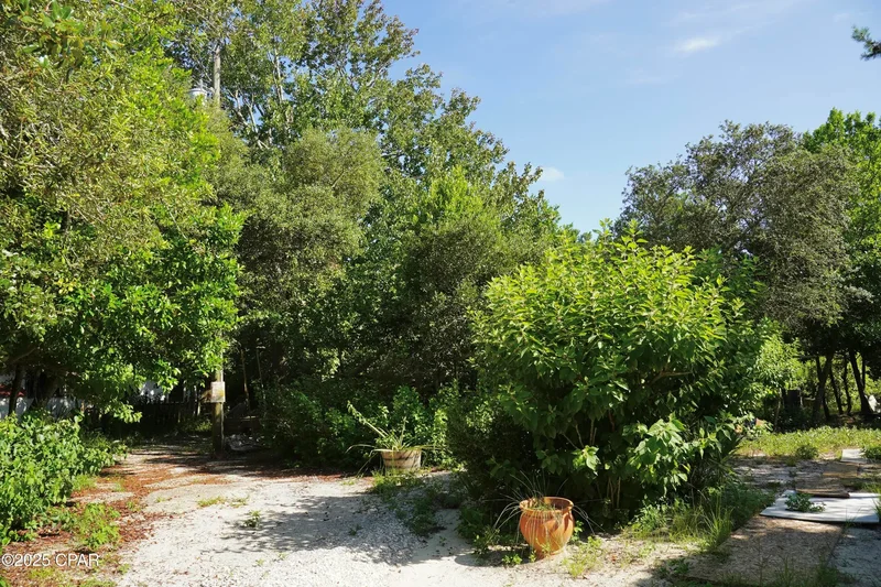 174 Walton Palm Road, Rosemary Beach, Florida, United States. - Photo 15