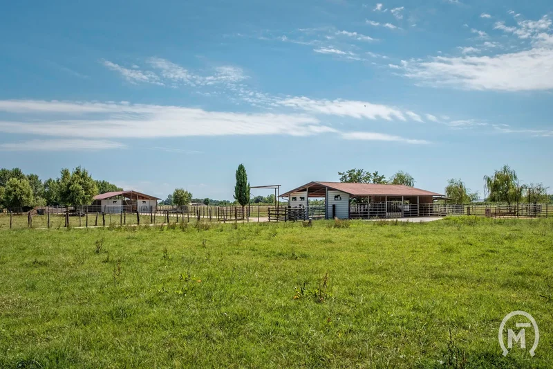 33041 Aiello del Friuli, Province of Udine, Italy, Aiello del Friuli, Friuli-Venezia Giulia, Italy. - Photo 22
