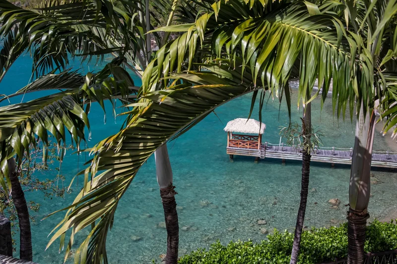 Saint Thomas, St. Thomas, U.S. Virgin Islands. - Photo 34