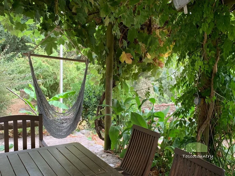 pradalino, Tuscany, Italy. - Photo 11