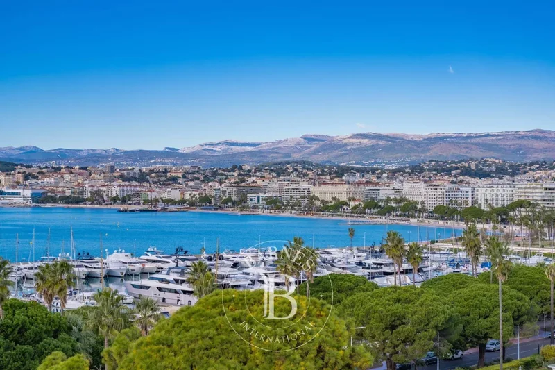 106 Boulevard de la Croisette, Cannes, Provence-Alpes-Côte d'Azur, France. - Photo 25