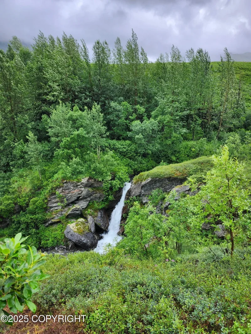 Mile 18 Willow-Fishhook Road, Willow, AK 99688, Willow, Alaska, United States. - Photo 29