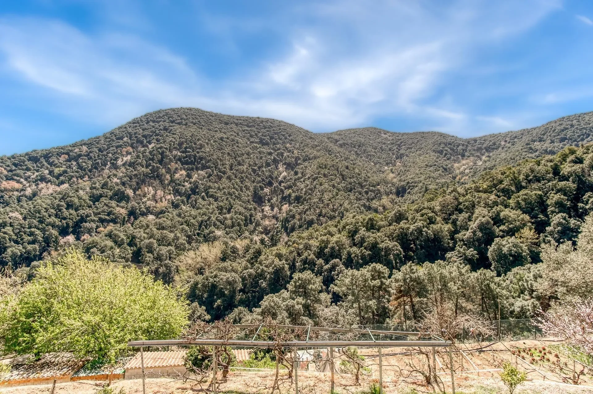 Hortsavinya, Tordera, BARCELONA, Tordera, Tordera, Catalonia, Spain. - Photo 28