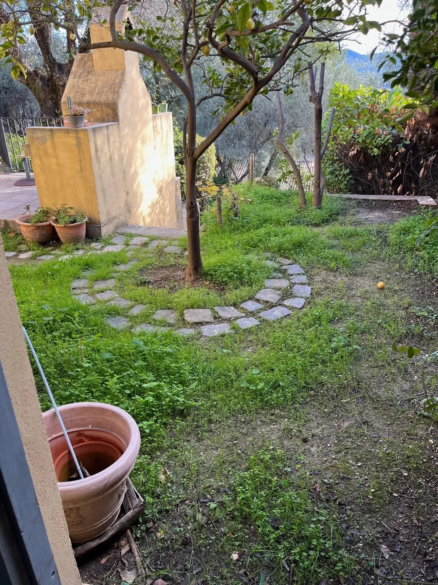 Nice, Provence-Alpes-Côte d'Azur, France. - Photo 30