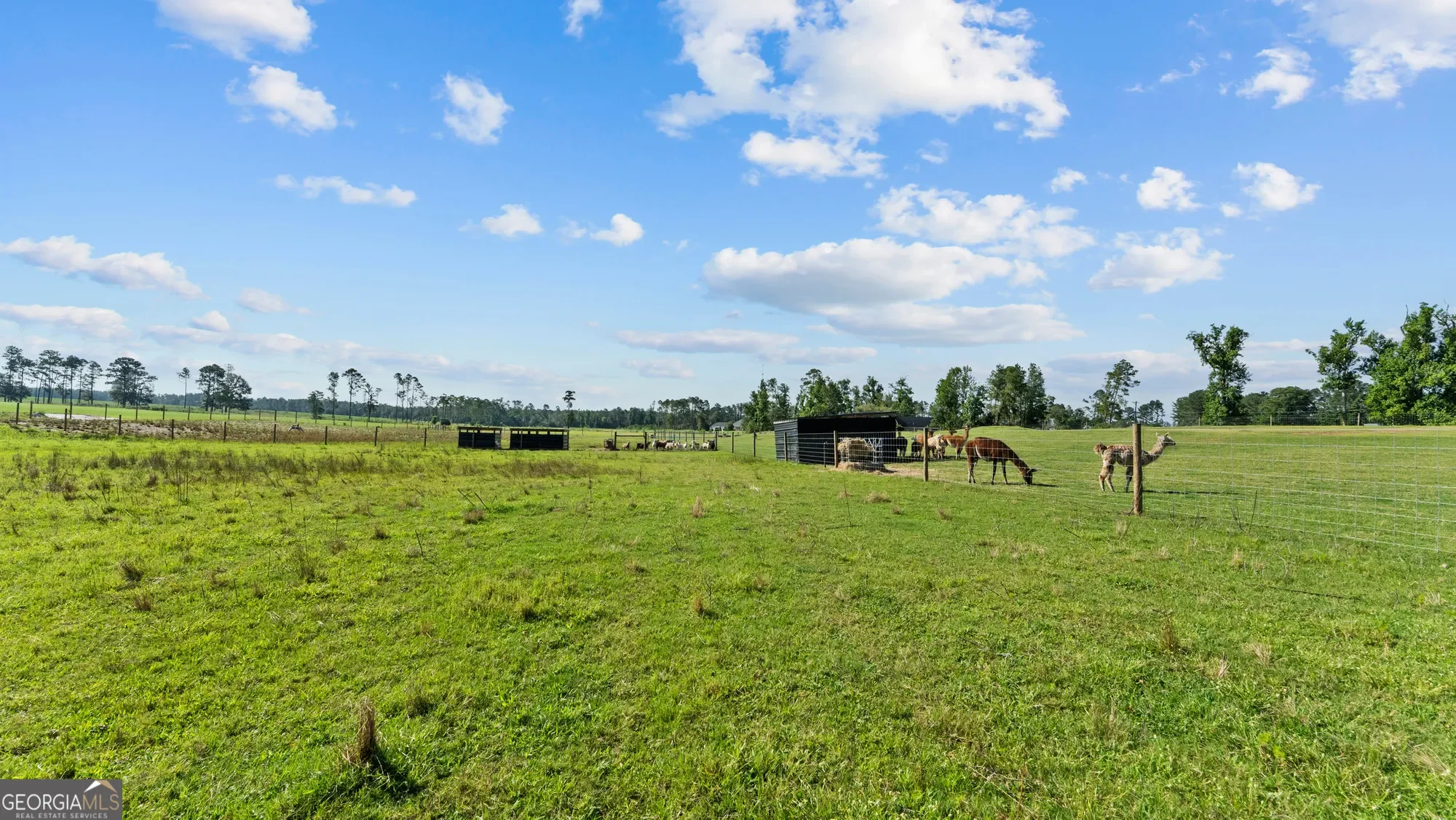 485 Beaver Kreek Road, Douglas, GA 31533, Douglas, Georgia, United States. - Photo 61