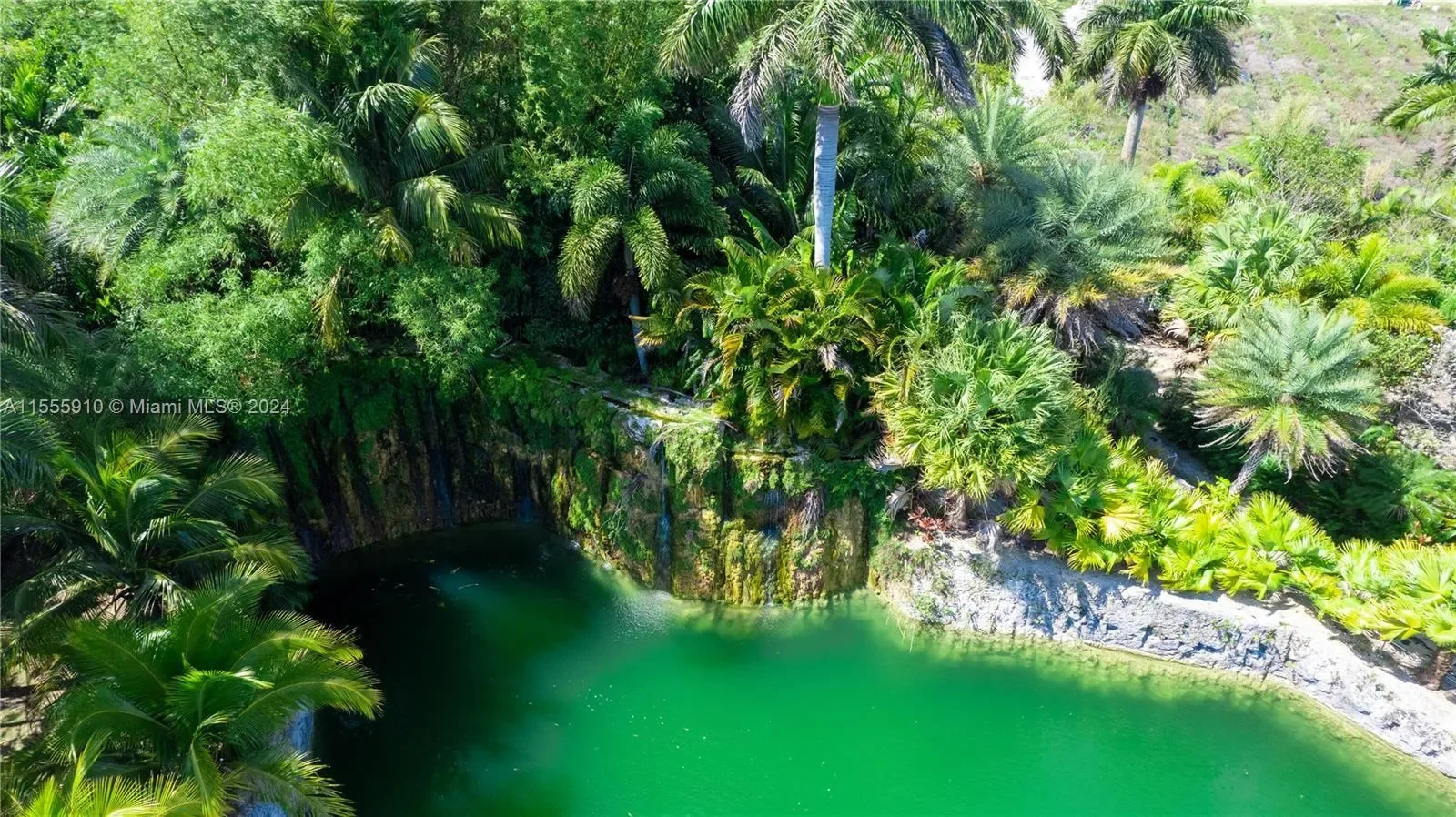 20551 SW 162nd Ave, Miami, Florida, United States. - Photo 45