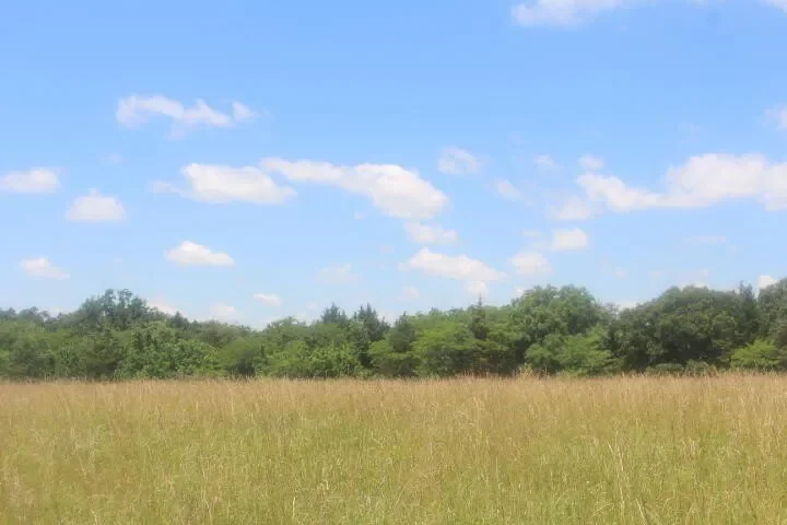 3176 S 170th Road, Polk, MO 65727, Bolivar, Missouri, United States. - Photo 36