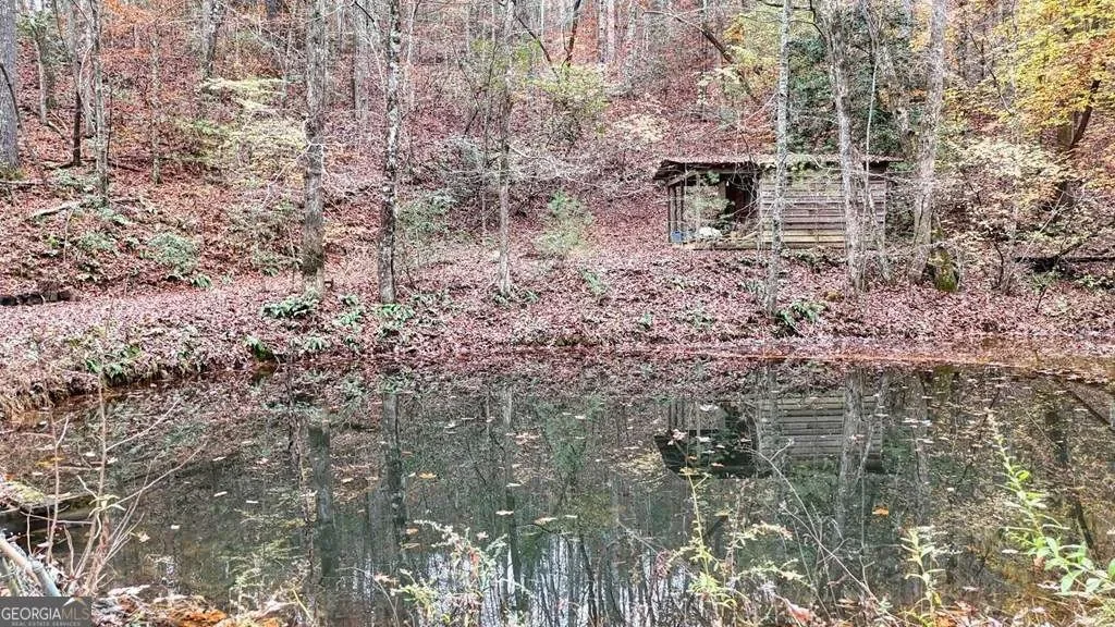 2479 Plum Orchard RD, Clayton, Georgia, United States. - Photo 36
