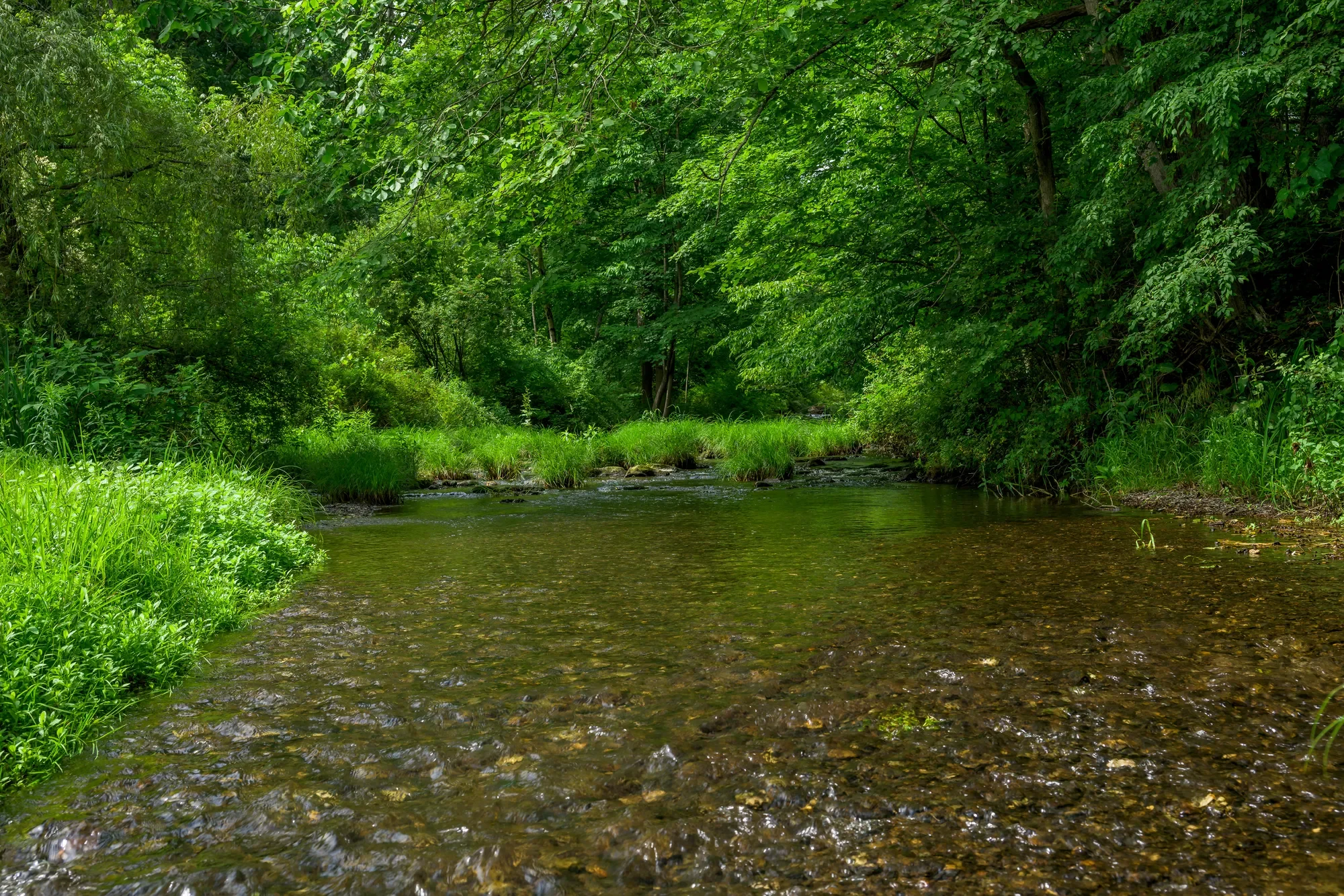 9960 ROUTE 22 , Hillsdale, NY 12529, Hillsdale, New York, United States. - Photo 31