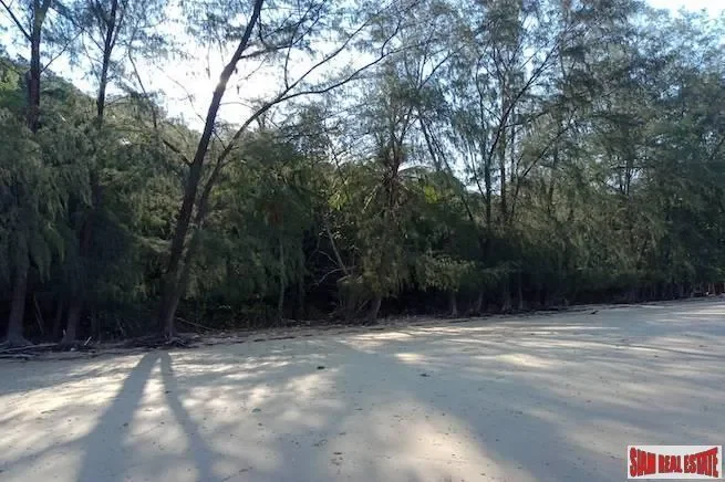 Phang Nga,, Ko Yao Yai, Phang-nga, Thailand. - Photo 5