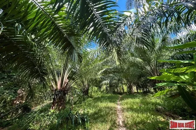 Over 1 Rai of paradise seaview land nearby yatch heaven for sale in Takuatung, Phangnga
