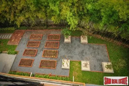 Chiang Mai,, San Phi Suea, Chiang Mai, Thailand. - Photo 4