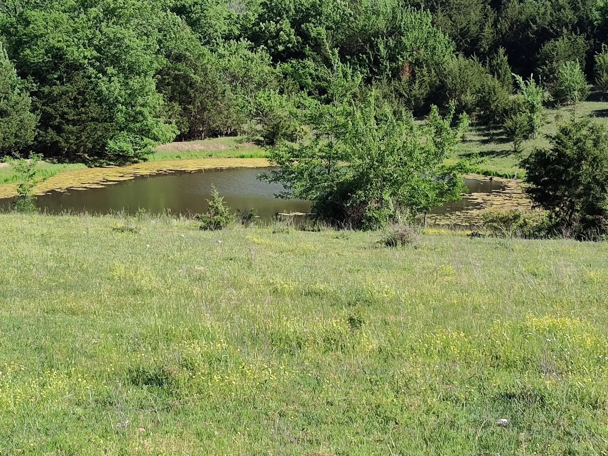 1898 E 332nd Road, Polk, MO 65727, Bolivar, Missouri, United States. - Photo 94