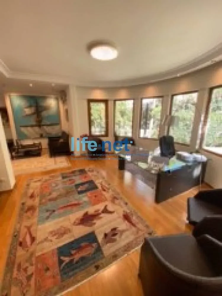 Gallery photo 7