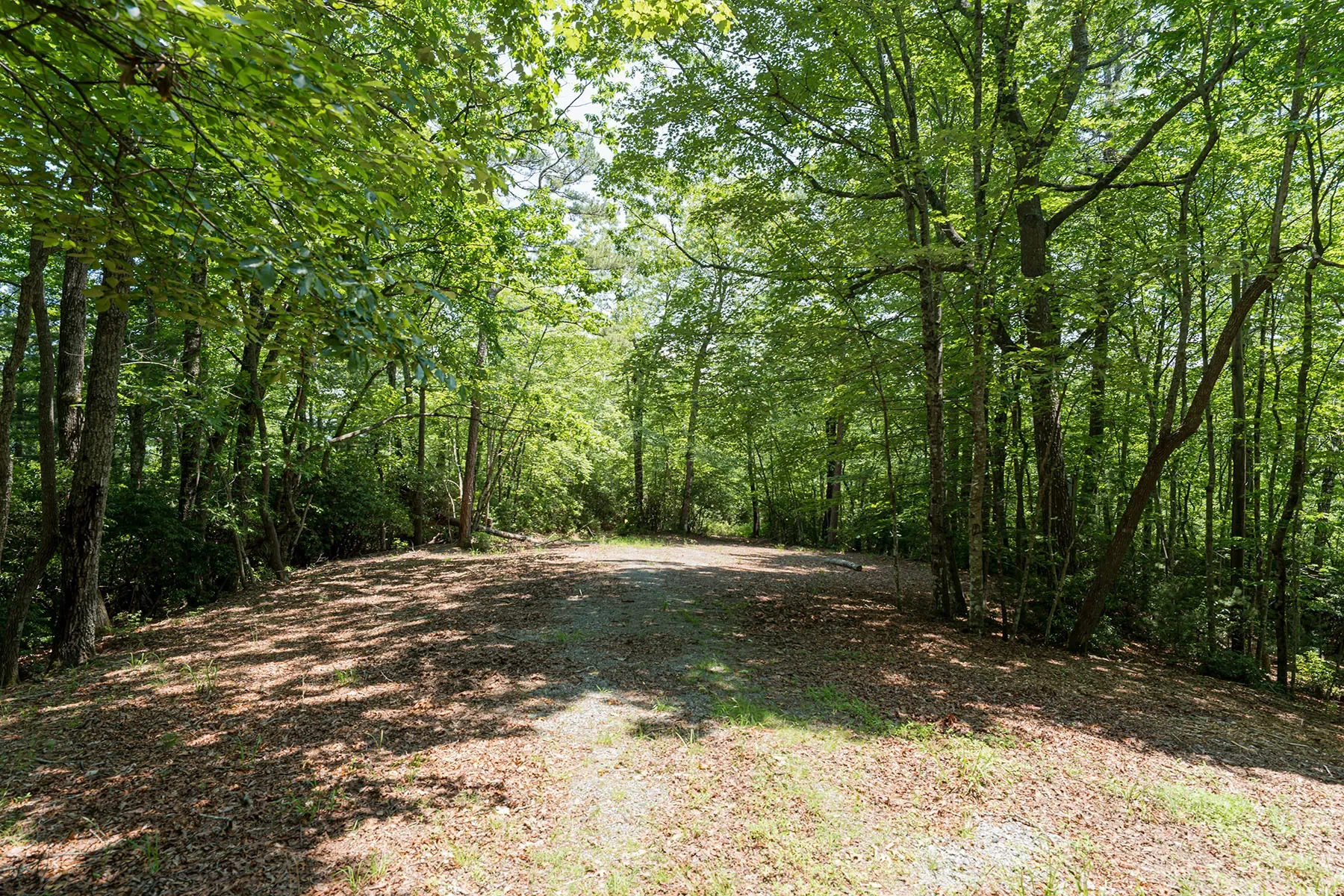 1000 Sutton Creek Road, Pisgah Forest, NC 28768, Mills River, North Carolina, United States. - Photo 23