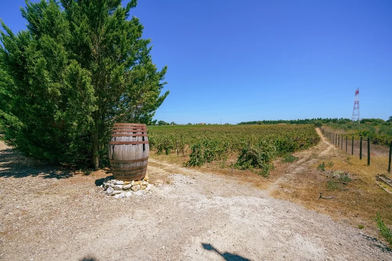 Estrada das Serralheiras, Palmela, Setubal, Portugal. - Photo 31