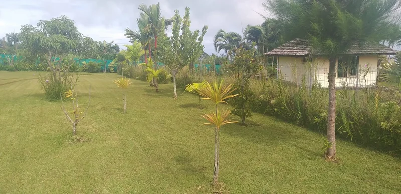 Toahotu, Toahotu, Taiarapu-Ouest, Windward Islands, French Polynesia. - Photo 12