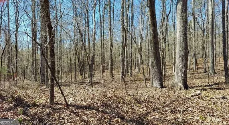 Franklin, Georgia, United States. - Photo 12