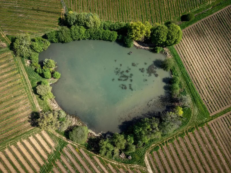 Bordeaux, Nouvelle-Aquitaine, France. - Photo 27