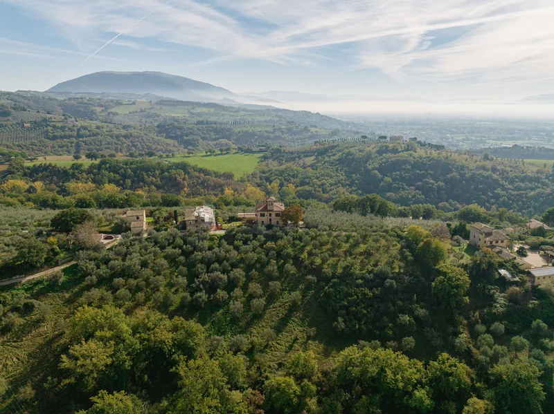 06081 Assisi, Province of Perugia, Italy, San Damiano, Umbria, Italy. - Photo 33