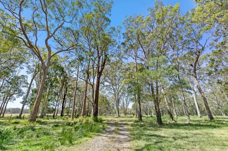 73 Bashforths Lane, Byron Bay, NSW 2481, Brunswick Heads, New South Wales, Australia. - Photo 5