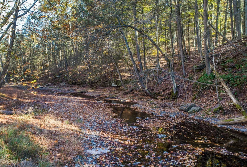 13 Lily Valley Road , Erwinna, PA 18920, 18920, Pennsylvania, United States. - Photo 5
