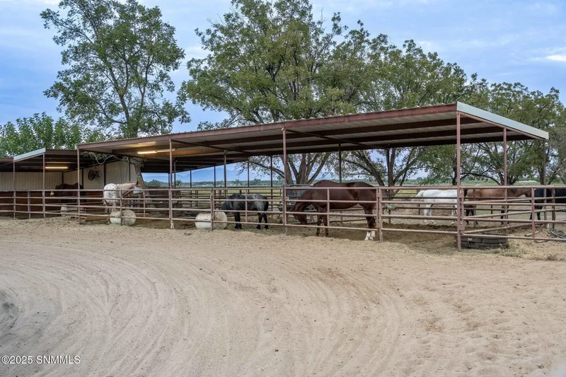 7003 Mcnutt Road, Anthony, NM 88021, Anthony, New Mexico, United States. - Photo 60