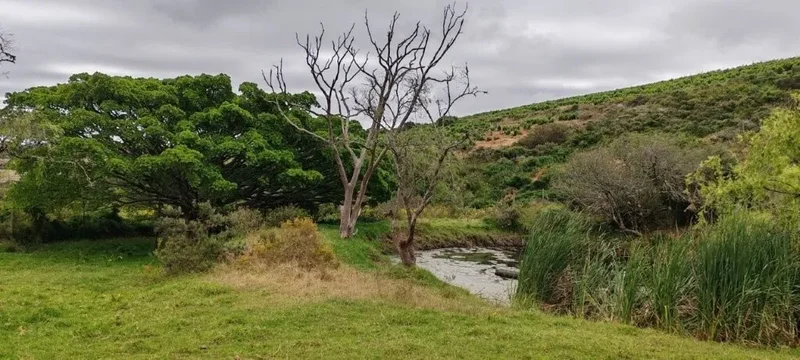Darling, Western Cape, South Africa. - Photo 2