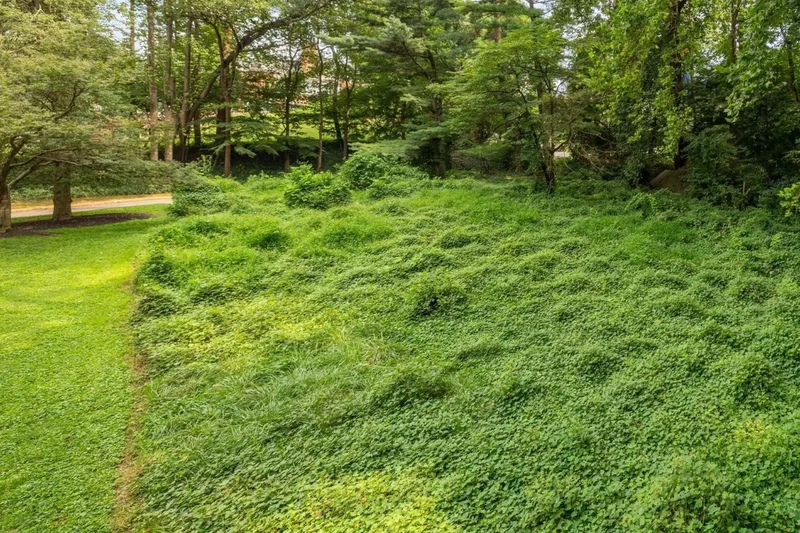 5906 17th Street NW, Washington, DC 20011, Washington, District of Columbia, United States. - Photo 4