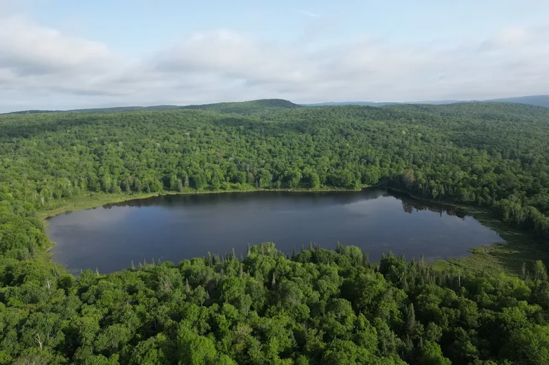 278 Ch. du Lac-Mousseau, L'Ascension, QC J0T1W0, L'Ascension, Quebec, Canada. - Photo 3