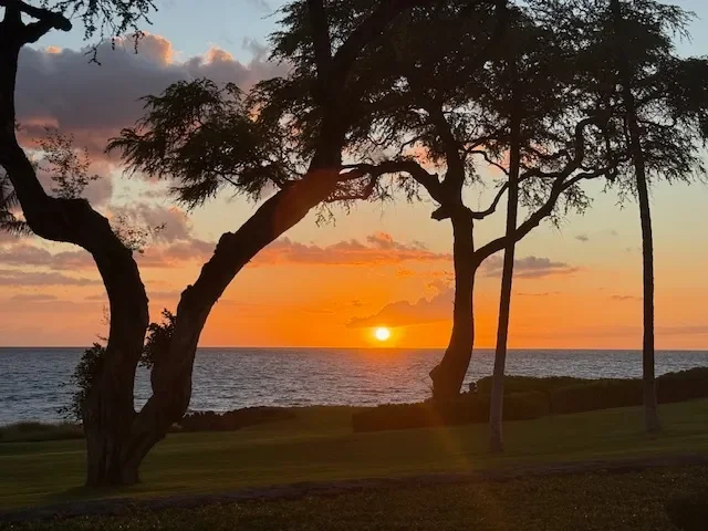 66-84 KAUNAOA DR #B15, Kamuela, HI 96743, Waimea, Hawaii, United States. - Photo 20