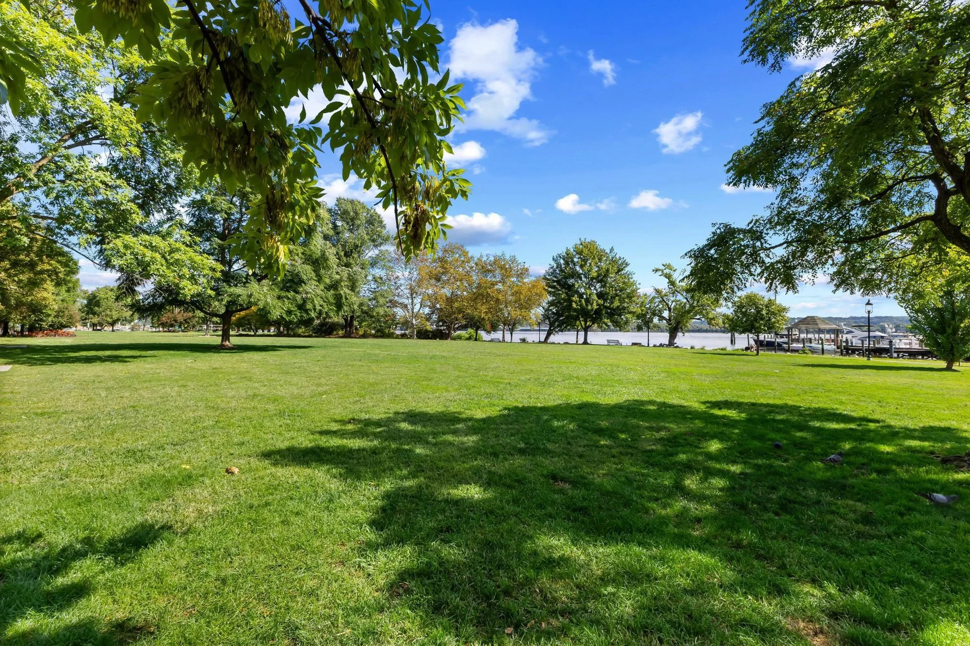 103 Queen Street , Alexandria, VA 22314, Alexandria, Virginia, United States. - Photo 10