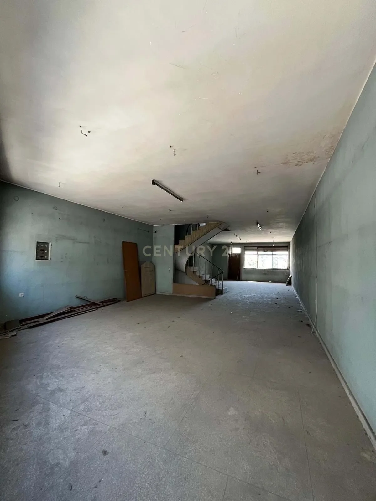 Gallery photo 12