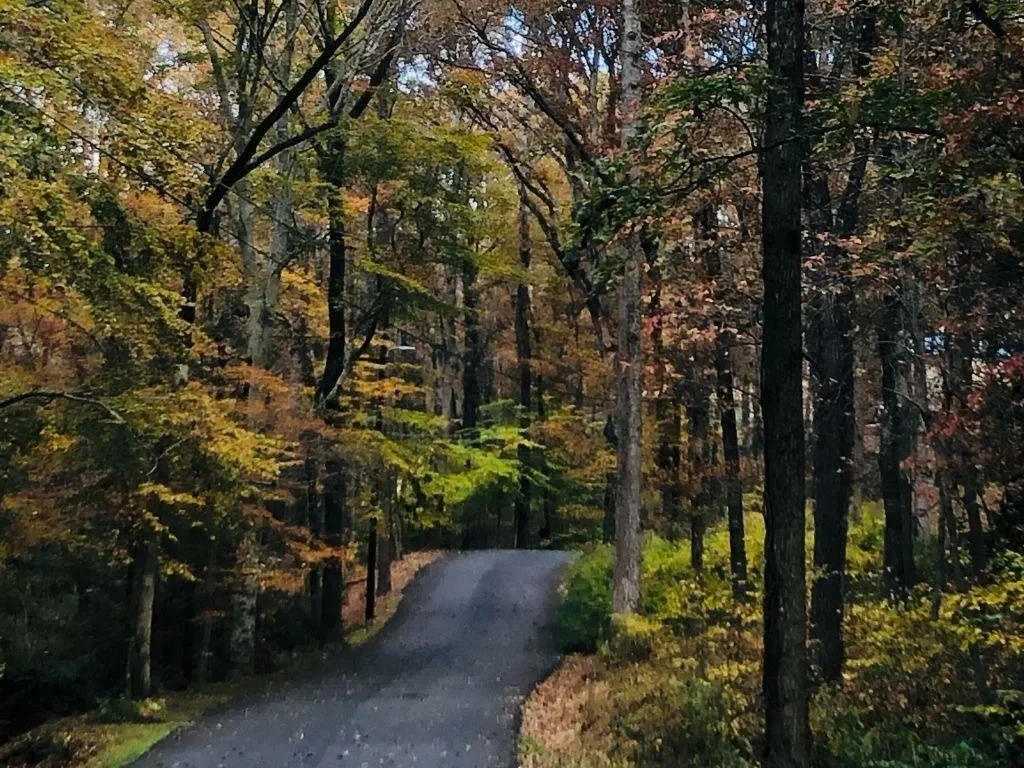 286 Hilton Way, Canton, Georgia, United States. - Photo 48