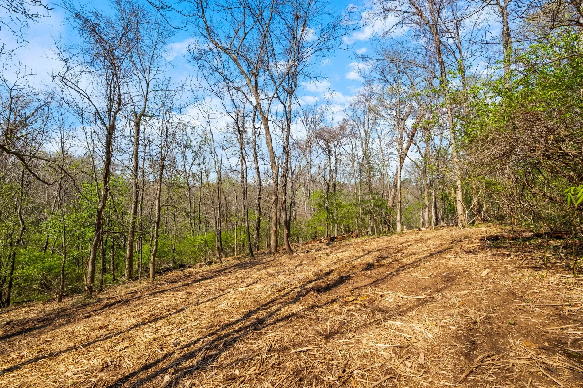 5001 Glengregor Road , Glenview, KY 40025, Glenview, Kentucky, United States. - Photo 6