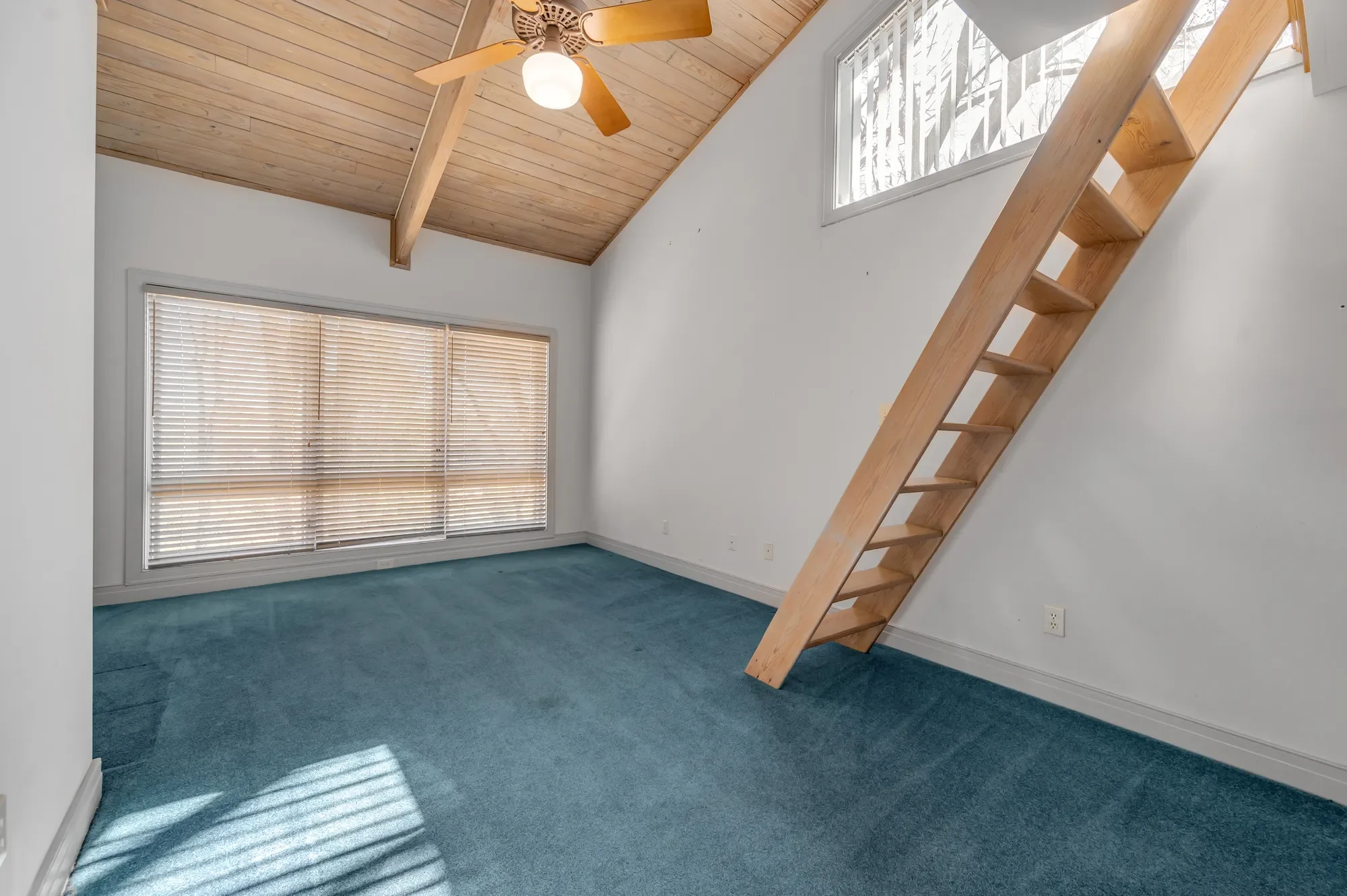 1404 Meganwood Circle, Lexington, KY 40502, Lexington, Kentucky, United States. - Photo 24