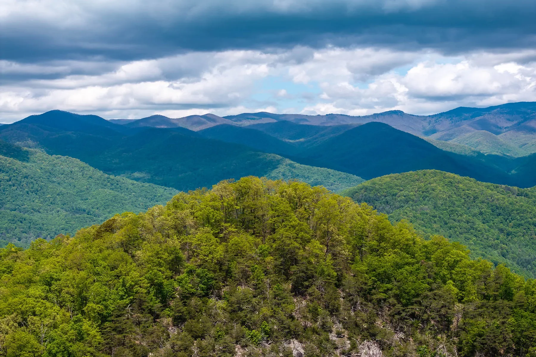 444 Woodring Cemetery Road, Tuckasegee, NC 28783, 28783, North Carolina, United States. - Photo 15