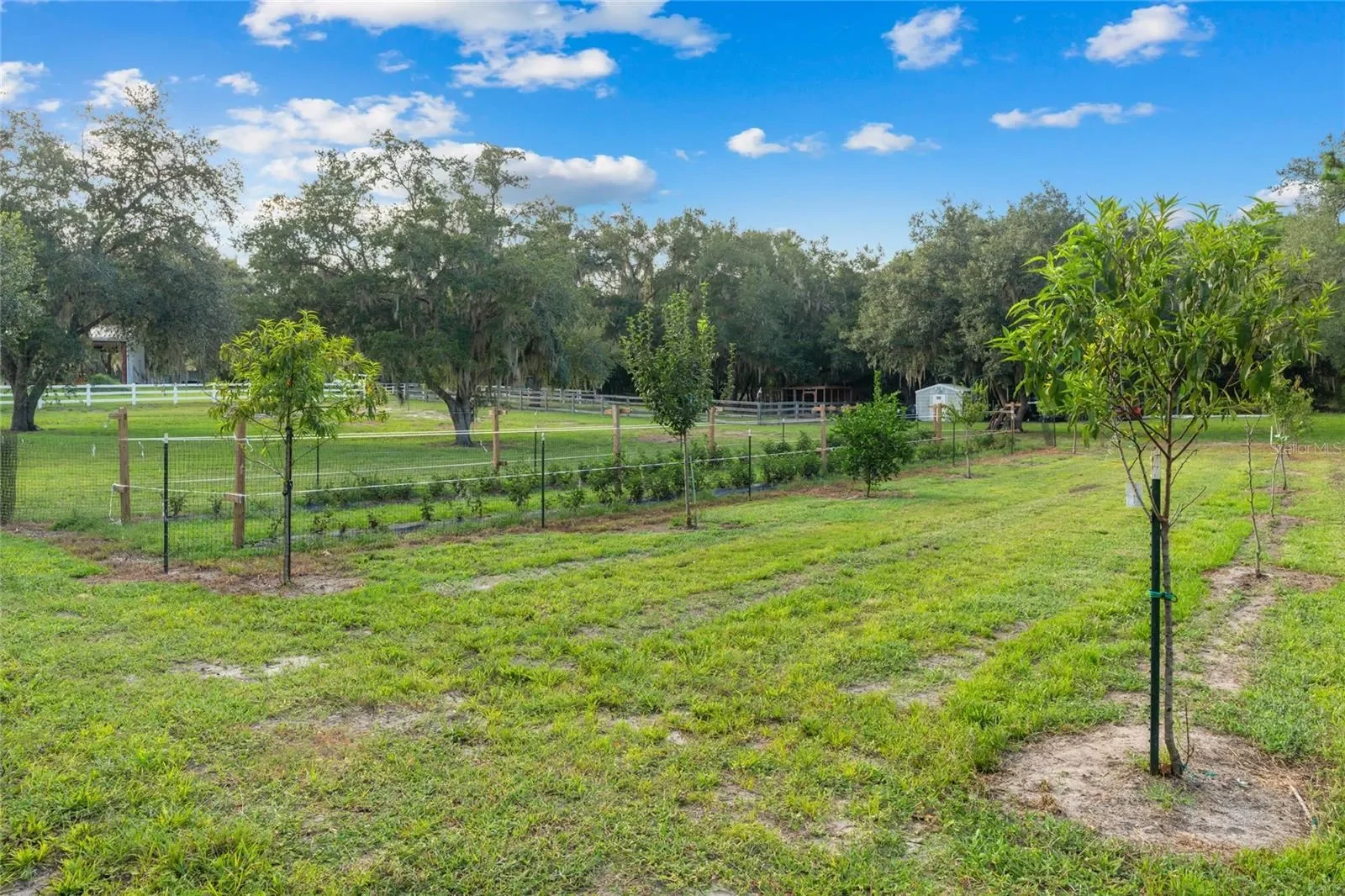21679 SW 106TH LANE ROAD, Dunnellon, Florida, United States. - Photo 43