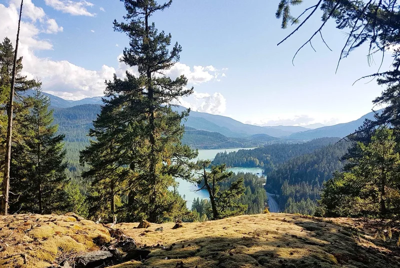 DL3363 Highway 99, Whistler, British Columbia, Canada. - Photo 10