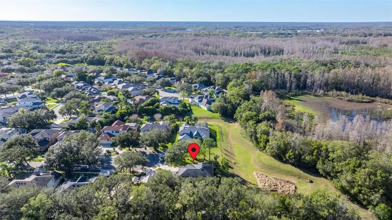 2102 CHESTNUT FOREST DRIVE, TAMPA, FL 33618, Tampa, Florida, United States. - Photo 54